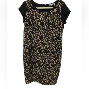 Hazel Lace Detail Stretchy Maternity Dress Size L by Pea in the Pod